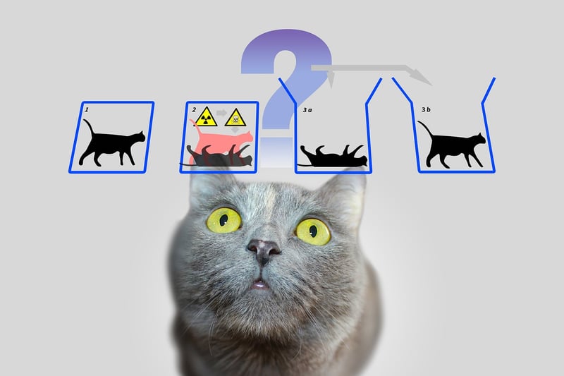 Quantum Flux Capacitor